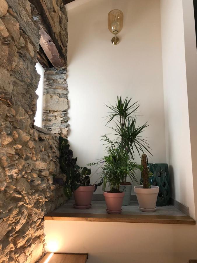 Studio Rural Vilarinho  Zewnętrze zdjęcie